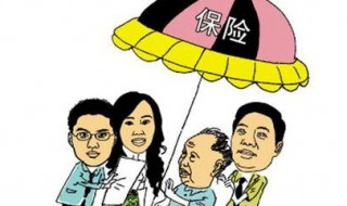 我怎样查我的保险记录? 怎么查保险记录