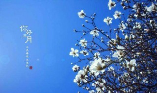 三月十号是什么节（三月十号是什么节日）