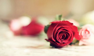 白色情人节微信祝福语 白色情人节祝福短句