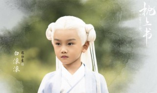 凤九什么时候怀上白滚滚的 凤九什么时候怀上白滚滚的孩子