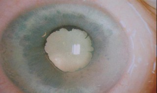 2020农历2月13是什么日子 2020年2月13日是什么日子?