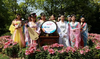 花朝节习俗（花朝节百度百科）