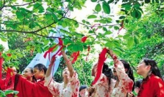 花朝节传说（朝花节的来历）