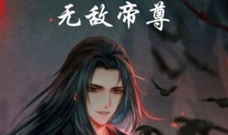 叶星北境守护是什么小说（小说主角是北境守护）