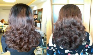 为什么头顶容易出油(为什么头顶容易出油,而且还掉发呢)