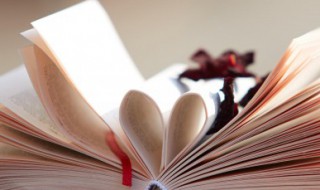 求男主是外科医生的小说(求男主是外科医生的小说)