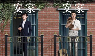 安家是根据什么改编的 安家的编剧是