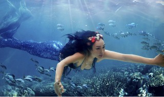 我的世界如何找到美人鱼(我的世界怎么找到美人鱼)