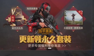 和平精英超长名字如何弄（和平精英超长id怎么弄）