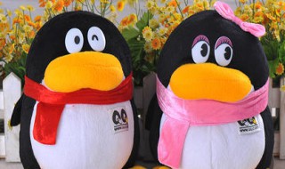 qq教师助手如何使用 qq老师助手怎么用