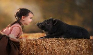 照片如何拍出来温暖(怎么拍出温暖的照片)