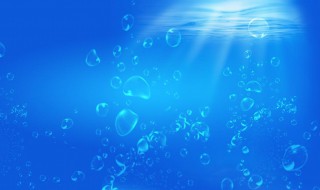 什么动物是具有一对外壳的海生动物(什么动物是具有一对外壳的海生动物是两栖动物吗)