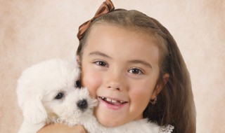 宠物美容师需要做什么 宠物美容师需要做什么准备