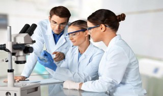 尿细菌培养多久出结果 尿细菌培养多久出结果正常