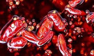 如何自己烧火锅 自己烧火锅怎么做窍门