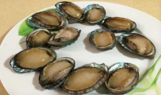 鲍鱼做之前要如何清洗 鲍鱼做之前要如何清洗呢