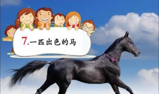 一匹出色的马其实是一根什么 一匹出色的马中的马其实是一根