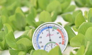 水培蔬菜营养液配方 自制水培蔬菜营养液配方