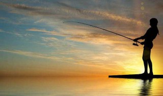 黑坑钓锦鲤的方法（黑坑钓鲤鱼鱼饵）