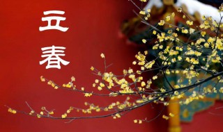 立春有什么风俗活动(立春有什么风俗活动用英文)