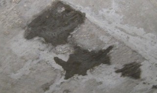 楼板裂缝最佳修复方法 楼板裂缝最佳修复方法图片