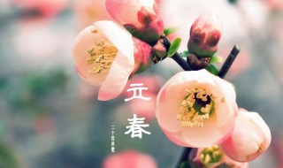 立春有什么主要的活动（立春的活动有哪些）