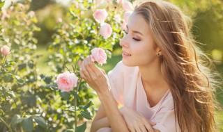 描写立春时节优美文案大全2021年 描写立春时节优美文案大全2021年级