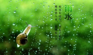 2021年雨水节气的含义是什么 2021年雨水节气的含义是什么呀