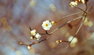 今日立春朋友圈祝福语（今日立春朋友圈祝福语大全）