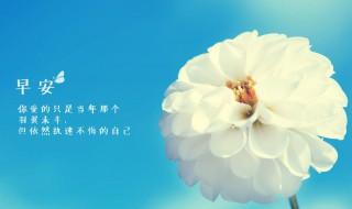 珍惜自己励志的句子（关于珍惜的励志句子）