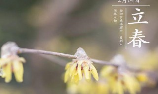 2021年立春朋友圈祝福话语文案（2021年立春朋友圈发祝福）