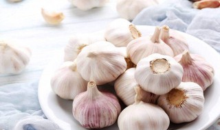 正宗紫皮蒜的腌制方法（正宗紫皮蒜的腌制方法视频）