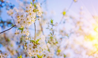 2021立春朋友圈文案简短（2021立春朋友圈文案简短精辟）