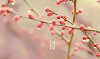 今日立春祝福简短一句话2021（今日立春祝福简短一句话2021年8月）