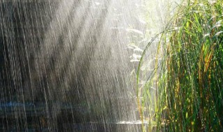 最新雨的俗语精选 最新雨的俗语