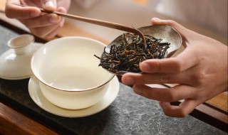 滇红茶最标准冲泡方法（云南滇红茶冲饮法）