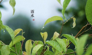 关于雨水节气的古诗词 关于雨水节气的古诗词有哪些