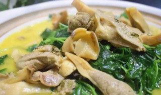 河蚌秧草的做法（河蚌秧草的做法和用量）