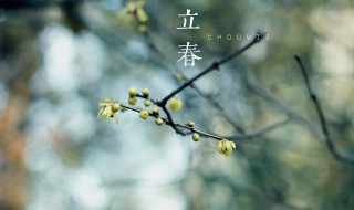 立春几点钟开始 今天立春从几点开始