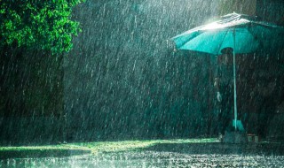 雨夜失眠伤感句子 雨夜失眠伤感句子说说