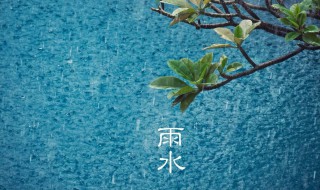 2021年节气雨水表示什么含义（2021年节气雨水表示什么含义呢）