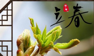 生在立春的人怎么样 生于立春的人