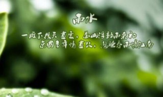 关于雨水节气谚语 雨水节气谚语及含义