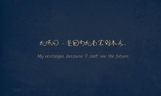 每日心灵鸡汤励志语句 心灵鸡汤经典励志语录短句