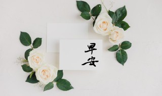 早安心语暖心句子精选(早安心语暖心句子精选短句)