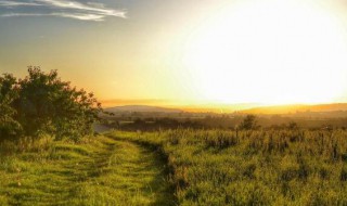 早上暖心正能量的句子(早上的正能量的句子)