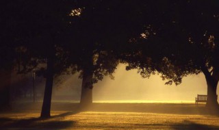 伤感孤独悲伤的句子大全 悲伤的孤独的句子