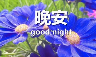 2021超级唯美的晚安心语 2021最美晚安心语