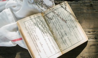 正能量的人生感悟句子（正能量的人生感悟句子大全）