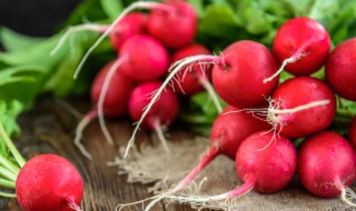 萝卜怎么埋土里保存（萝卜怎么埋土里保存不会坏）